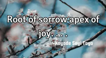 Root of sorrow apex of joy....