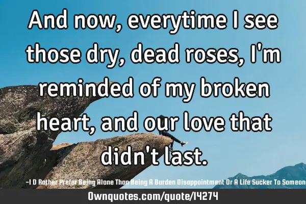 And now, everytime I see those dry, dead roses, I