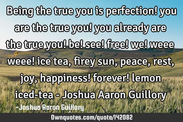 Being the true you is perfection! you are the true you! you already are the true you! be! see! free!