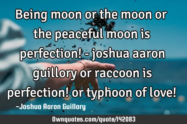 Being moon or the moon or the peaceful moon is perfection! - joshua aaron guillory or raccoon is