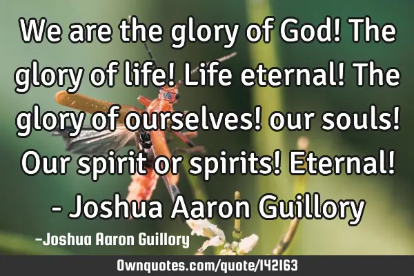 We are the glory of God! The glory of life! Life eternal! The glory of ourselves! our souls! Our