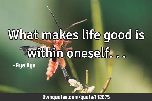 What makes life good is within