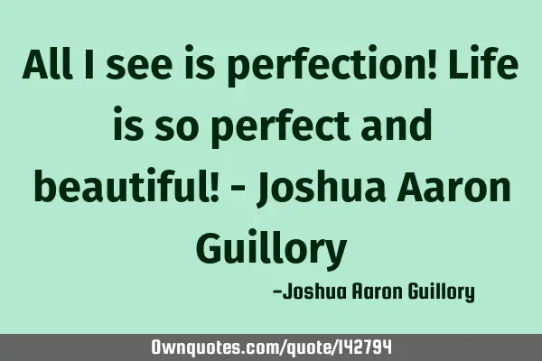 All I see is perfection! Life is so perfect and beautiful! - Joshua Aaron G
