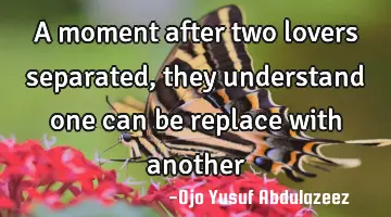 A moment after two lovers separated, they understand one can be replace with another