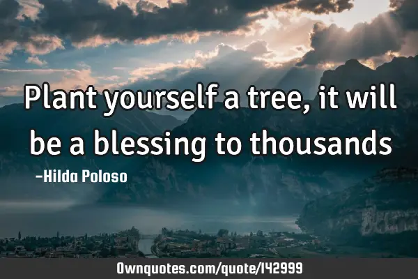Plant yourself a tree, it will be a blessing to
