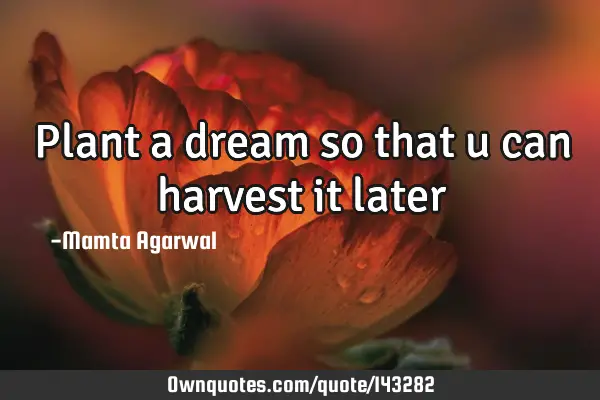 Plant a dream so that u can harvest it