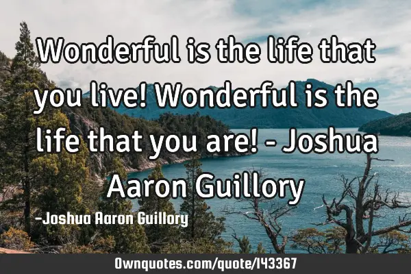 Wonderful is the life that you live! Wonderful is the life that you are! - Joshua Aaron G