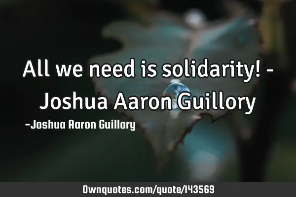 All we need is solidarity! - Joshua Aaron G
