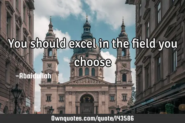 You should excel in the field you