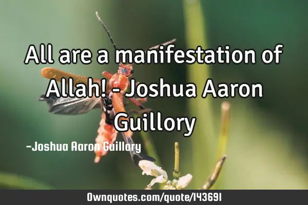 All are a manifestation of Allah! - Joshua Aaron G