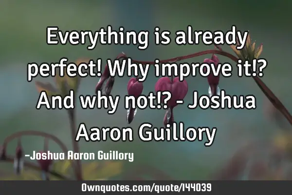 Everything is already perfect! Why improve it!? And why not!? - Joshua Aaron G