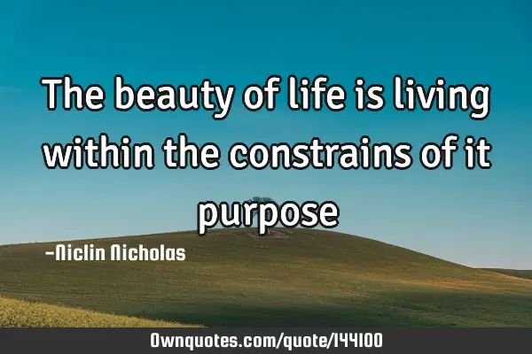 The beauty of life is living within the constrains of it