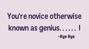 You're novice otherwise known as genius...... I