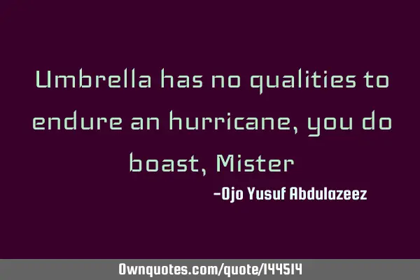 Umbrella has no qualities to endure an hurricane, you do boast, M