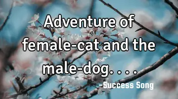 Adventure of female-cat and the male-dog....