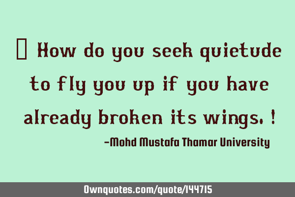  How do you seek quietude to fly you up if you have already broken its wings.!
