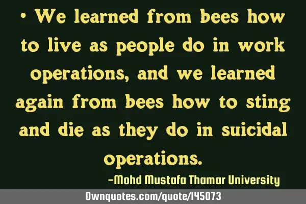 • We learned from bees how to live as people do in work operations , and we learned again from