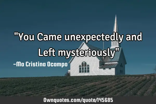 "You Came unexpectedly and Left mysteriously"