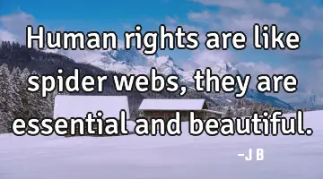 Human rights are like spider webs, they are essential and