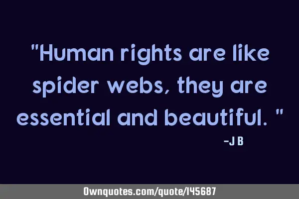 Human rights are like spider webs, they are essential and