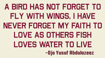 A bird has not forget to fly with wings, I have never forget my faith to love as others fish loves