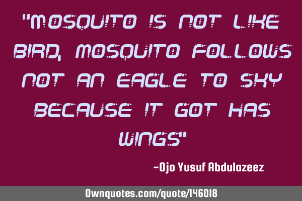 "Mosquito is not like bird, mosquito follows not an eagle to sky because it got has wings"