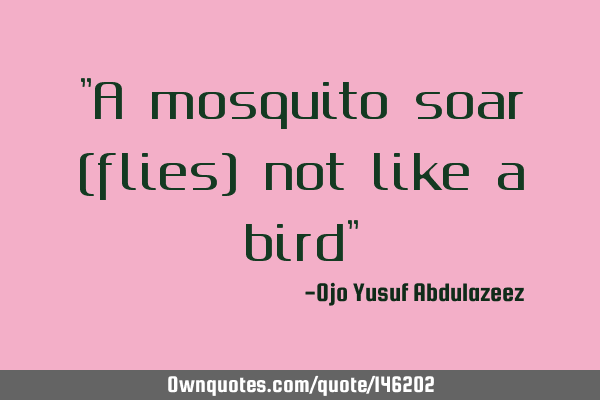 "A mosquito soar (flies) not like a bird"