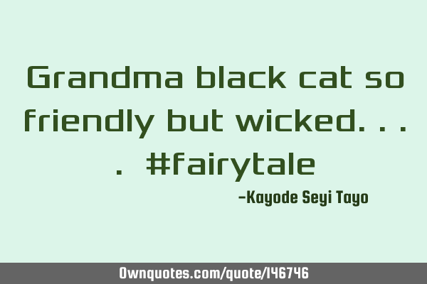 Grandma black cat so friendly but wicked.... #