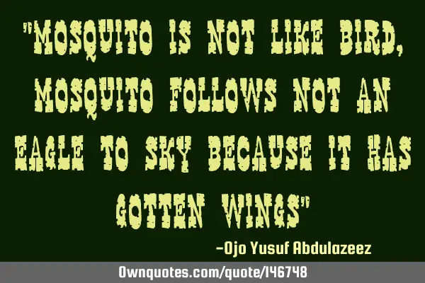 "Mosquito is not like bird, mosquito follows not an eagle to sky because it has gotten wings"