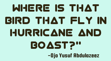 Where is that bird that fly in hurricane and boast?