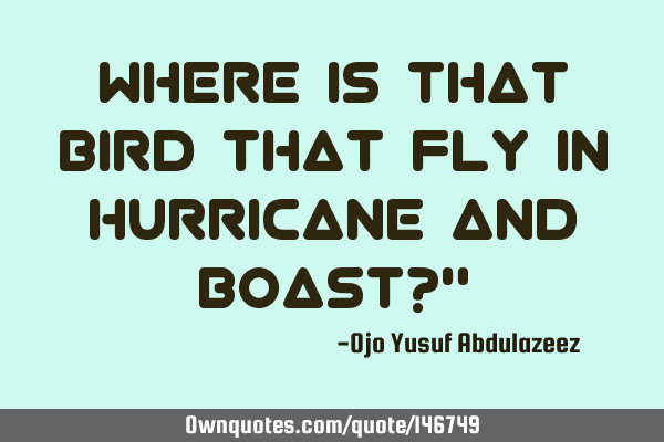 Where is that bird that fly in hurricane and boast?"