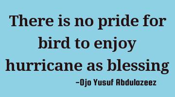There is no pride for bird to enjoy hurricane as blessing