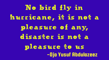 No bird fly in hurricane, it is not a pleasure of any, disaster is not a pleasure to us