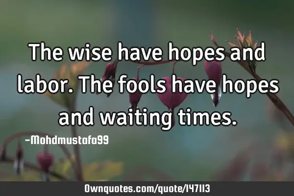 • The wise have hopes and labor. The fools have hopes and waiting