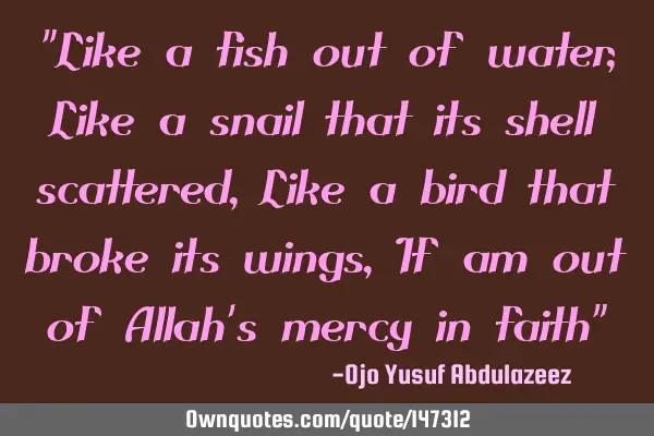 "Like a fish out of water, Like a snail that its shell scattered, Like a bird that broke its wings,