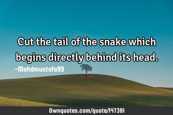 • Cut the tail of the snake which begins directly behind its
