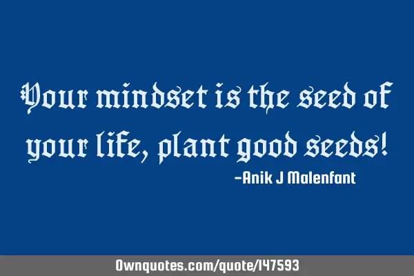 Your mindset is the seed of your life, plant good seeds!