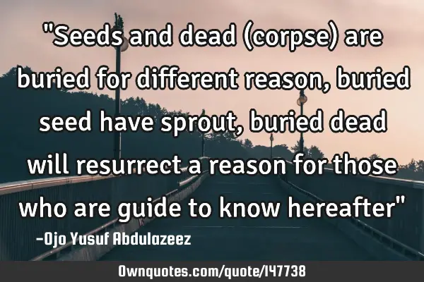 "Seeds and dead (corpse) are buried for different reason, buried seed have sprout, buried dead will
