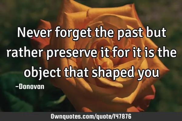 Never forget the past but rather preserve it for it is the object that shaped
