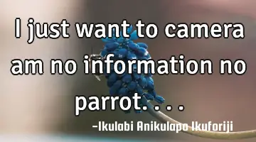 I just want to camera am no information no parrot....