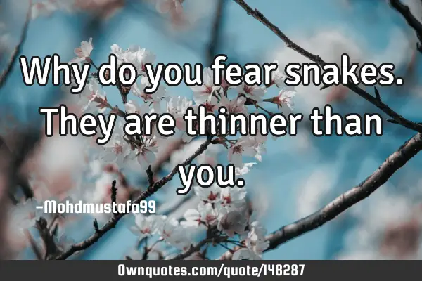 • Why do you fear snakes. They are thinner than