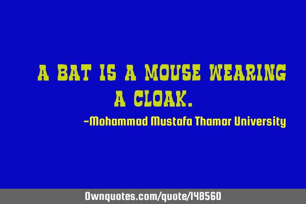 • A bat is a mouse wearing a