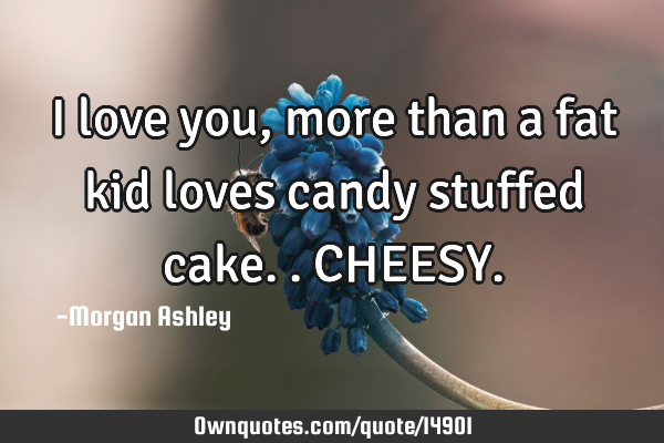 I love you, more than a fat kid loves candy stuffed cake.. CHEESY