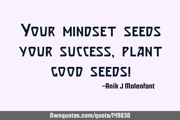 Your mindset seeds your success, plant good seeds!