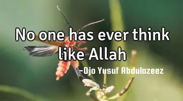 No one has ever think like Allah