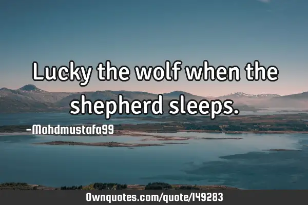 • Lucky the wolf when the shepherd