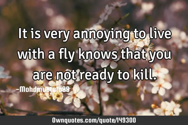 • It is very annoying to live with a fly knows that you are not ready to