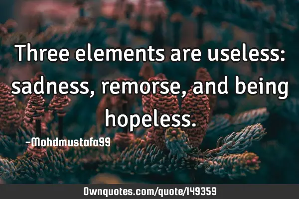 • Three elements are useless: sadness, remorse, and being