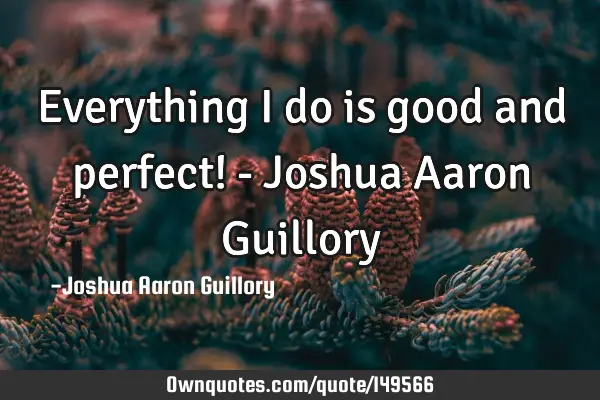 Everything I do is good and perfect! - Joshua Aaron G