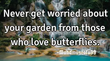 • Never get worried about your garden from those who love butterflies.